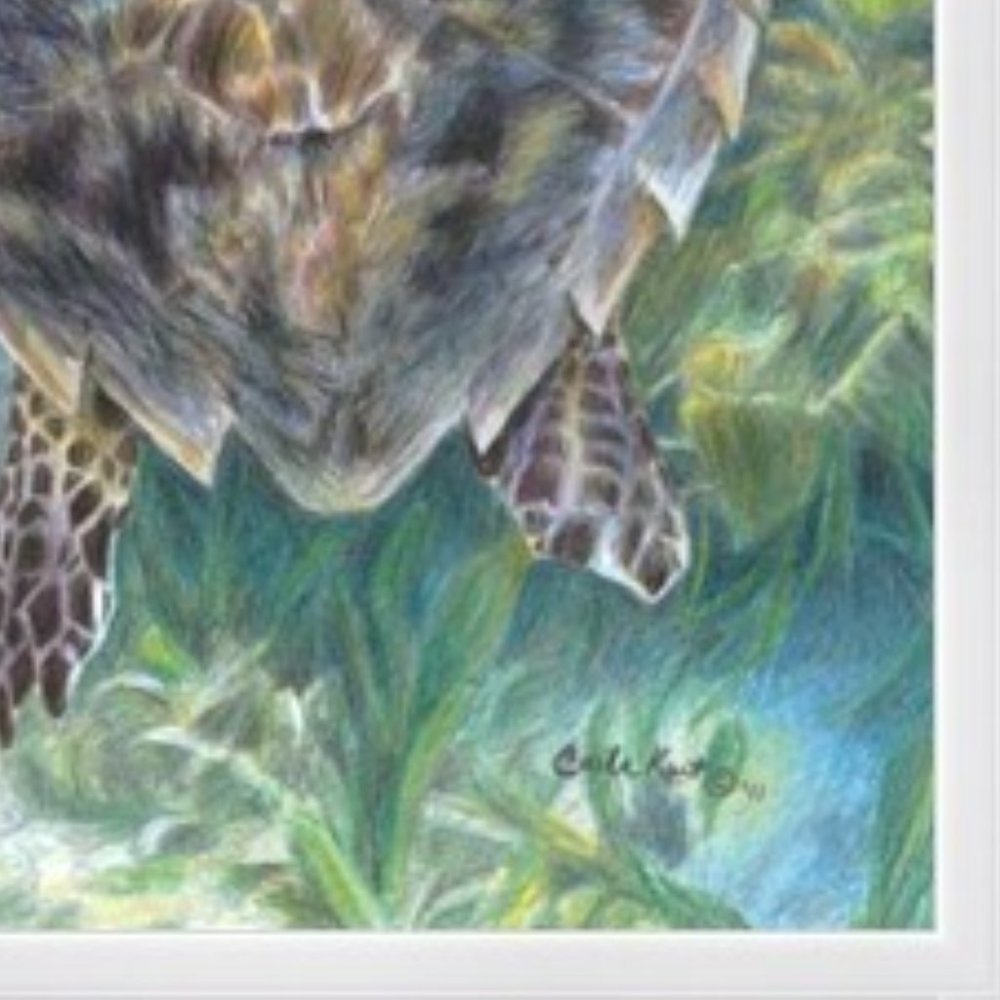 Carla Kurt "Into The Deep Ocean Sea Turtle" Wood Framed Painting Wall Art NWT - Picture 7 of 11
